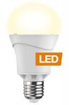 LED-Lampe A65 10W - E27 