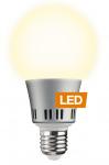 LED-Lampe G80 6W - E27 