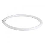 T5-Ringform Leuchtstofflampe 40W - 3000K 