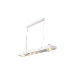 SLV LED-Pendelleuchte LYNAH Quad 