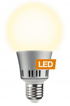 LED-Lampe G80 6W - E27 Warmweiß | Nein